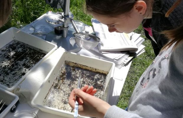 Biochemiker finden vielfältige Fauna