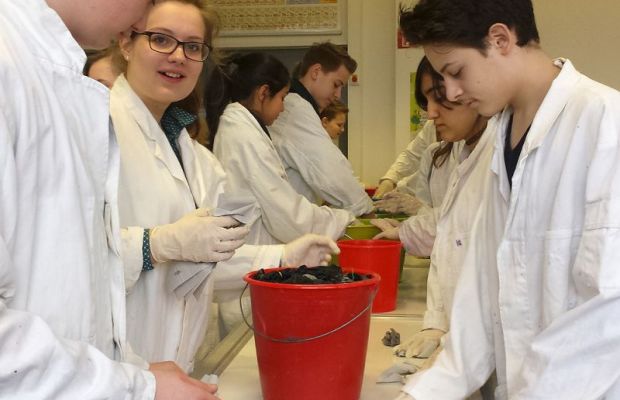 Buntes Treiben in der Biochemie