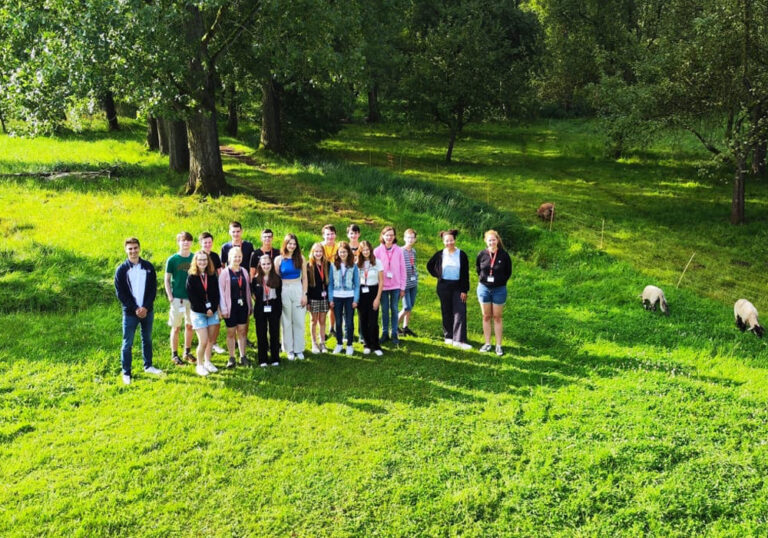 Mehrere Kinder stehen auf einer hellgrünen Wiese