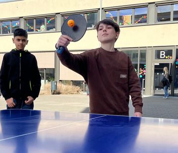 Auf dem D-Hof geht es hin und her