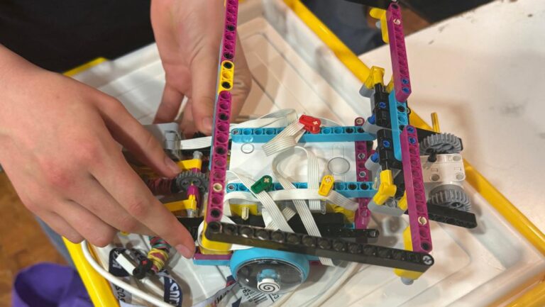 Kiwi bei der Roboter-Olympiade